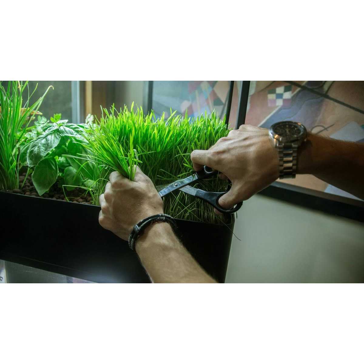 AquaSprouts Garden kit - Pet Supplies online store