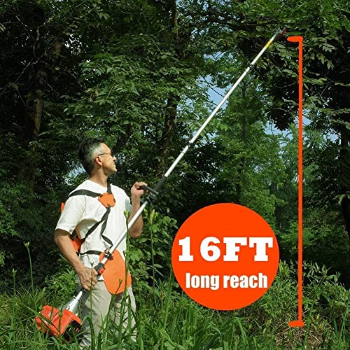 MAXTRA Pole Saw Gas Powered, 10-Inch Bar Cordless Extendable Long Trimmer Power Gasoline Chainsaw For Tree Hedge Trimming Bush Pruning