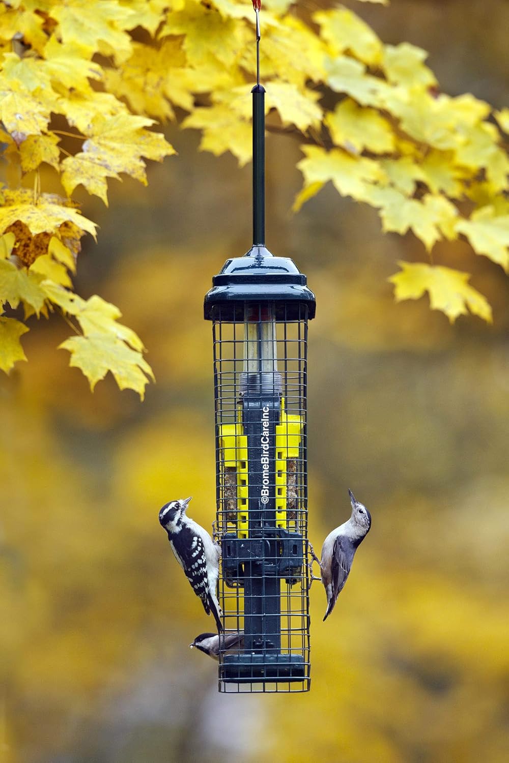Squirrel Buster Suet Squirrel-proof Suet Bird Feeder w/2 Suet Cake Trays, 2 Crumb Ports, Mess-free Suet Loading,Green