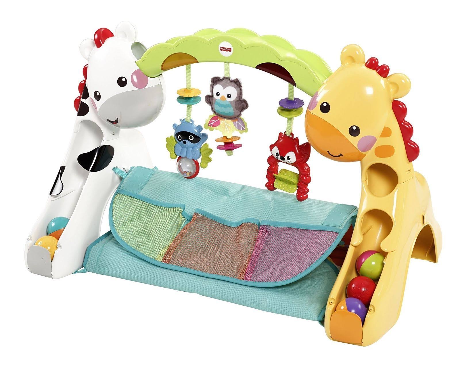 Fisher-Price Newborn-to-Toddler Play Gym