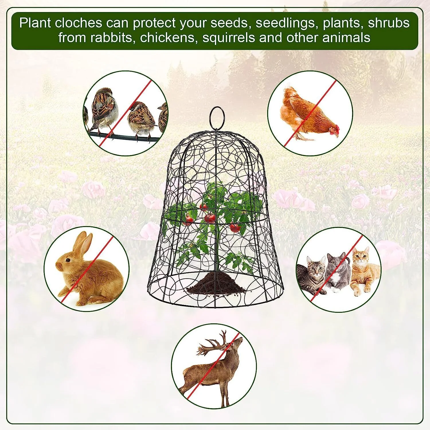 20PCS Garden Chicken Wire Cloche Plant Protector and Cover Iron Black/Green 12.99"H×15.75"
