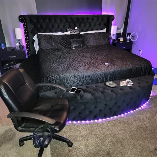 Circle Bed Frame Queen, Luxury Bed Frames with Wingback Headboard and Storage Side Rails & Footboard, Velvet Round Bed Frame with USB Chargers and Speakers, Circle Bed for Bedroom