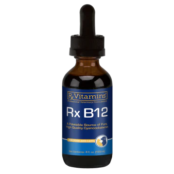 Rx B12 4 fl oz by Rx Vitamins (for Pets) - Kansas Nuitrition - HNZSDS