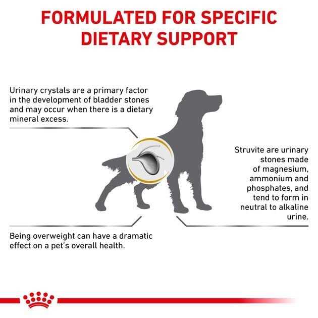 Royal Canin Veterinary Diet Urinary SO Moderate Calorie Dry Dog Food - Pet Supplies online store