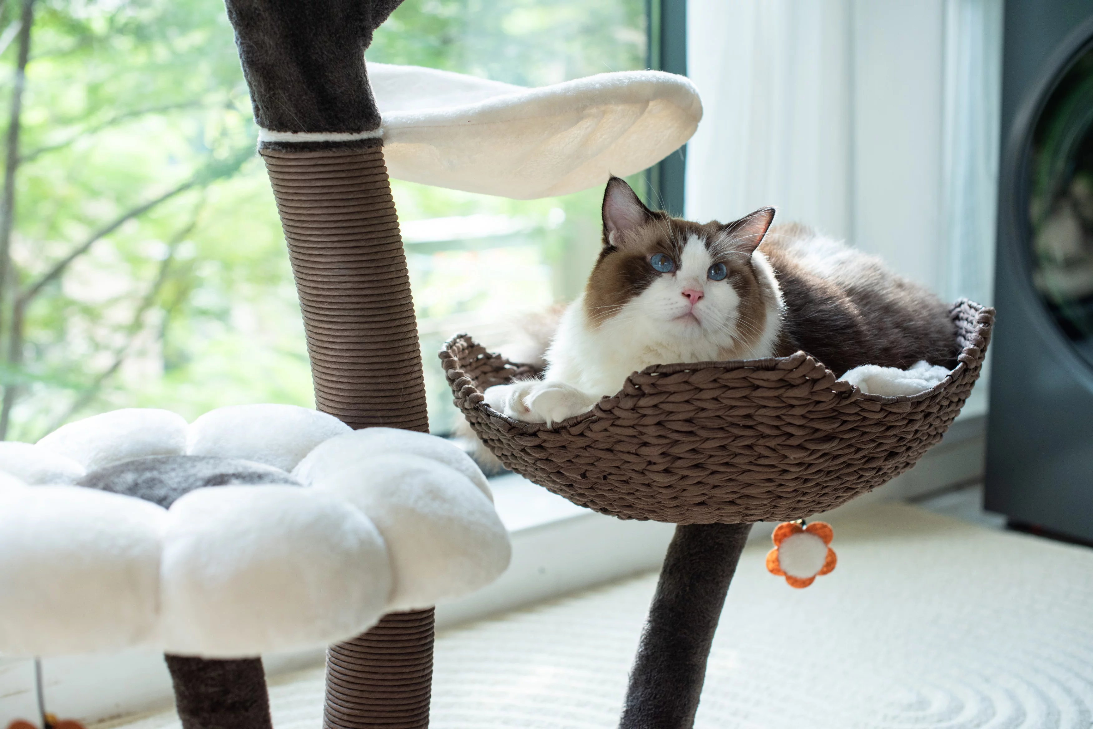 Catry 59" Natural Blossom Flower Woven Tree Branches Large Cat Tree 6-Level Cat Tower w/ Hammock Foam-Padded Perches Basket for Large Adult Cats Play House Indoor Climbing Modern Cat Furniture