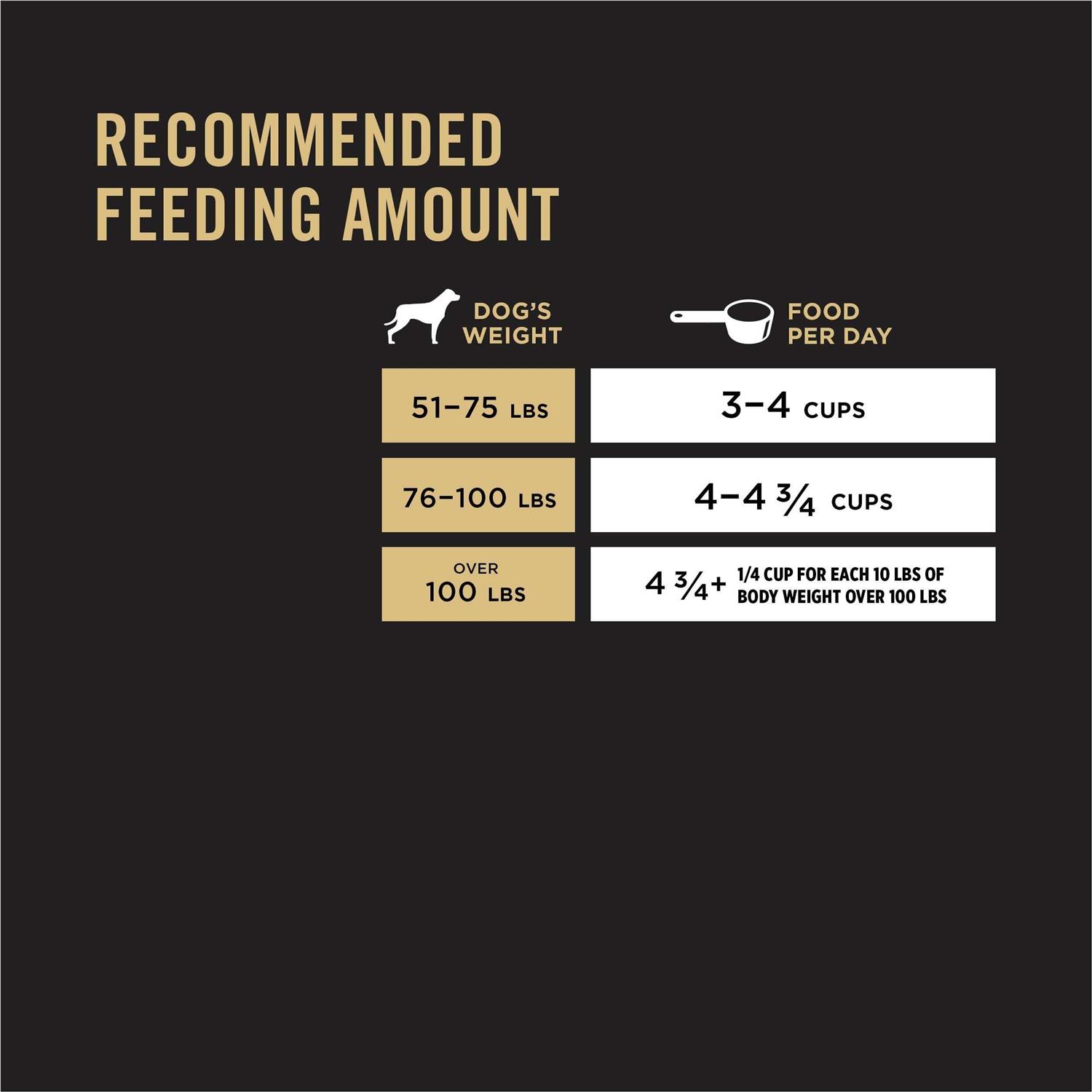 Purina Pro Plan Salmon Formula Sensitive Skin Stomach Large Breed Adult Dog Food - Pet Supplies online store