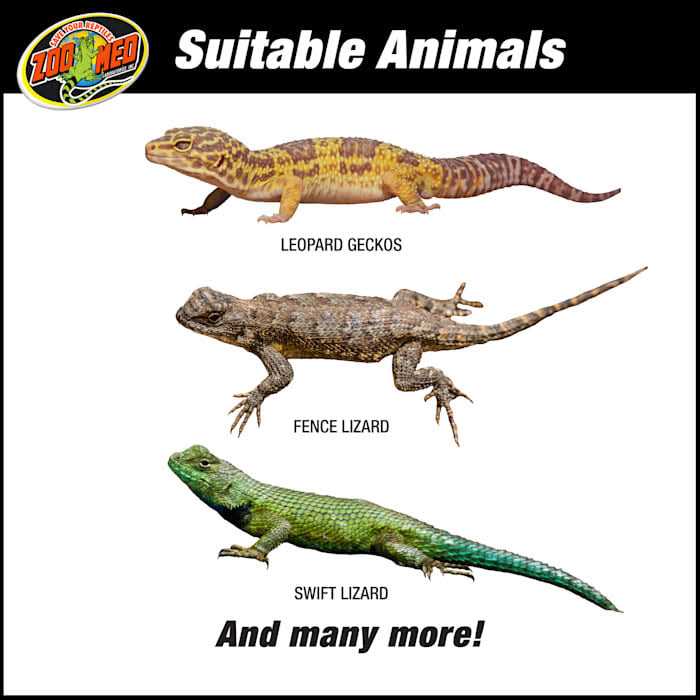 Zoo Med ReptiHabitat Desert Starter Kit - Pet Supplies online store