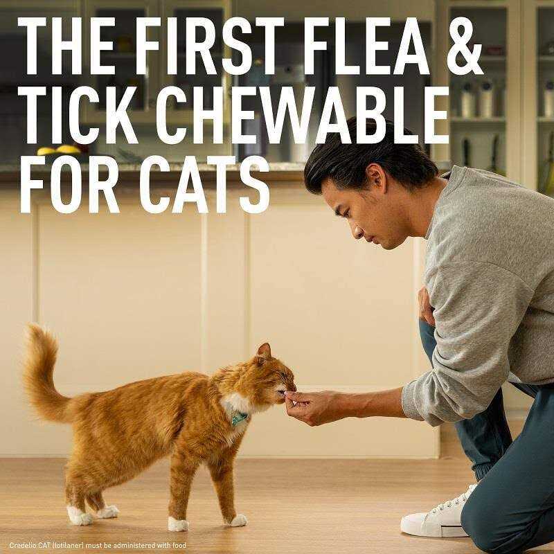 Credelio for Cats - Pet Supplies online store