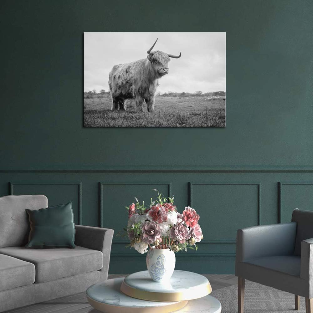 Artsbay Black and White Animal Canvas Wall Art Highland Cow Pictures Wall Decor Long Horn Cattle Wall Painting Prints Contemporary Artwork for Office Bedroom Framed