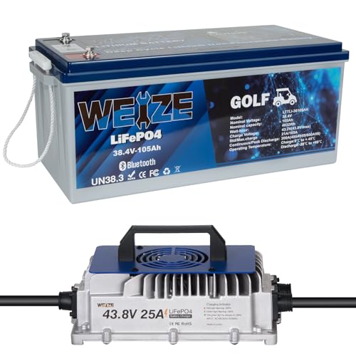 Weize 12V 100Ah TM LiFePO4 Lithium Battery, Built-in Smart BMS, Group 31 Deep Cycle Battery Perfect for Trolling Motor, RV, Solar, Marine, Overland/Van, and Off Grid Applications