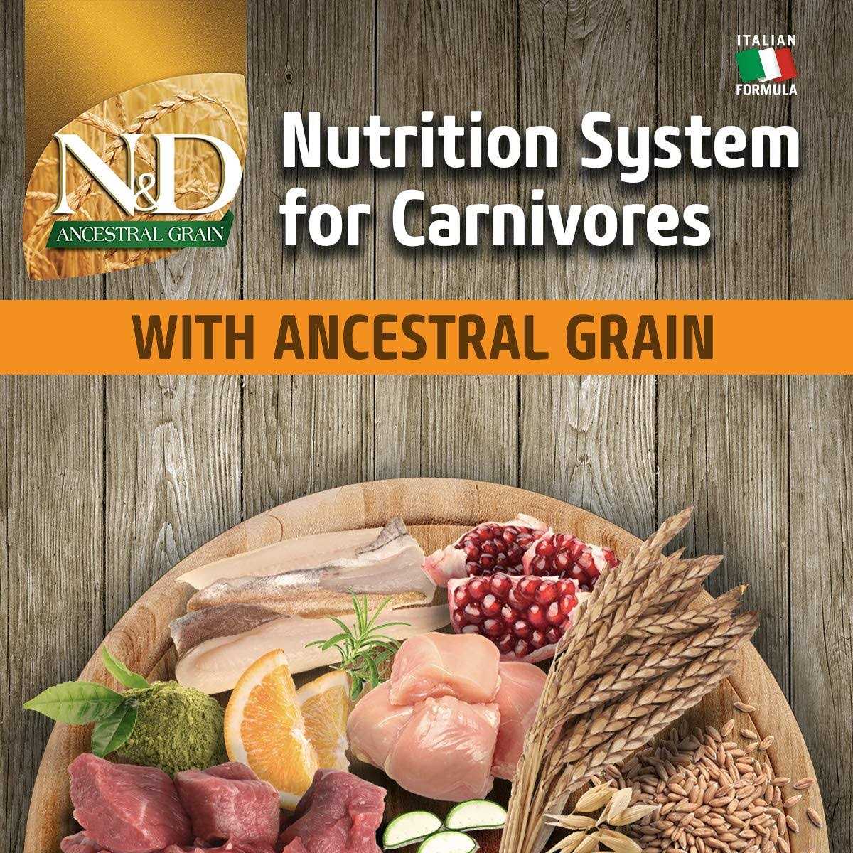 Farmina N&amp;D Ancestral Grain Chicken &amp; Pomegranate Dry Dog Food - Pet Supplies online store