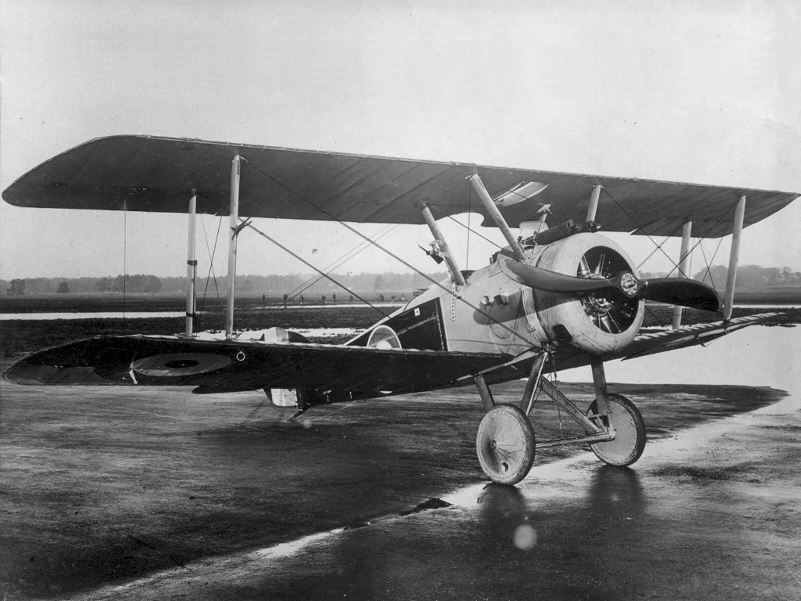 Authentic Models Sopwith Camel, Large