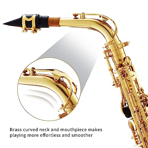 LeSage Alto Saxphone E Flat Black Saxophone for Beginners Student Alto Sax With Carrying Sax Case Adult Saxofon Alto Saxaphone Music Instrument