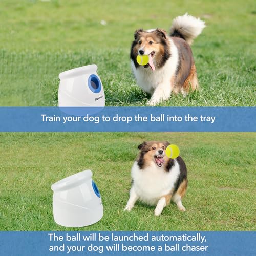 Automatic Ball Launcher for Large Dogs, with 6pcs Tennis Balls(2.5'') Dog Ball Thrower Machine for Pet Indoor/Outdoor Interactive Throwing Game for Large Breed Dog