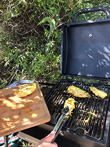 Blackstone Tailgater Stainless Steel 2 Burner Portable Gas Grill and Griddle Combo Total 35,000 BTUs for Indoor or Backyard, Outdoor, Patio, Picnic, Garden Cooking