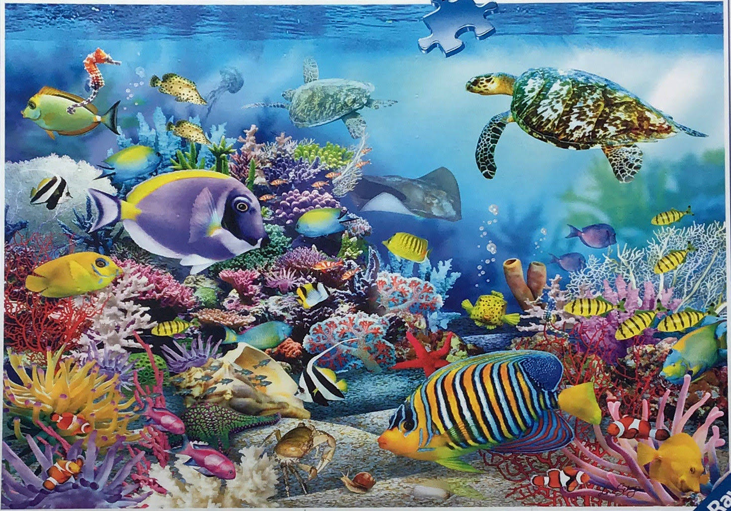 Ravensburger Coral Reef Majesty 2000 Piece Jigsaw Puzzle, Multicolor