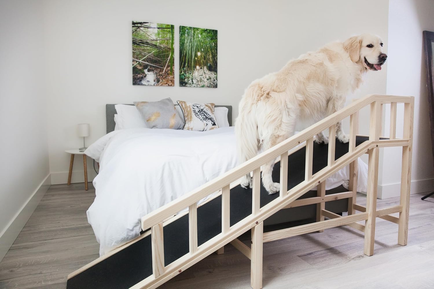Gentle Rise Dog Bed Ramp | New & Improved Non-Slip Flooring | 74" Long and Supports Small, Large, Elderly Dogs 130+ LBS Capacity