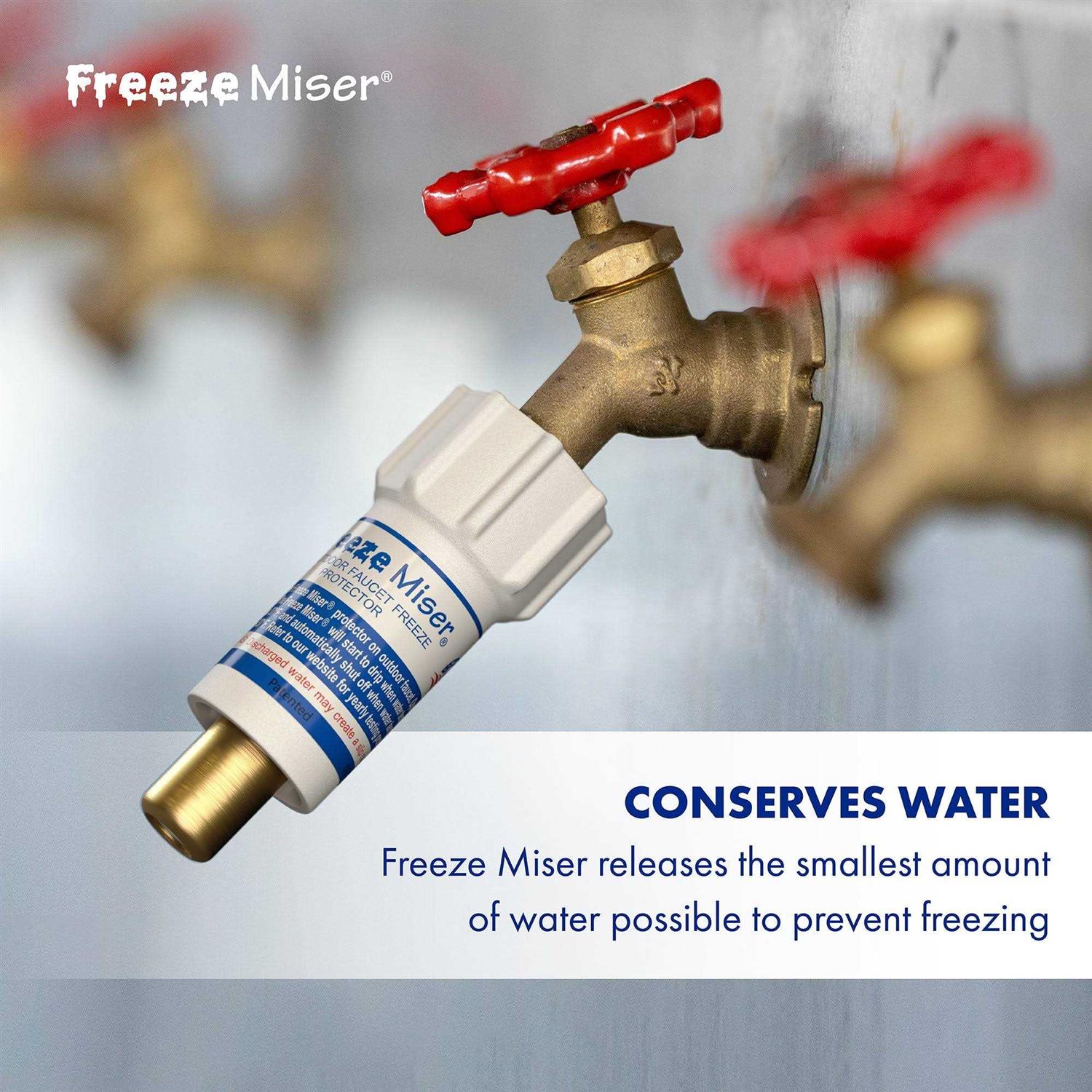 The Freeze Miser