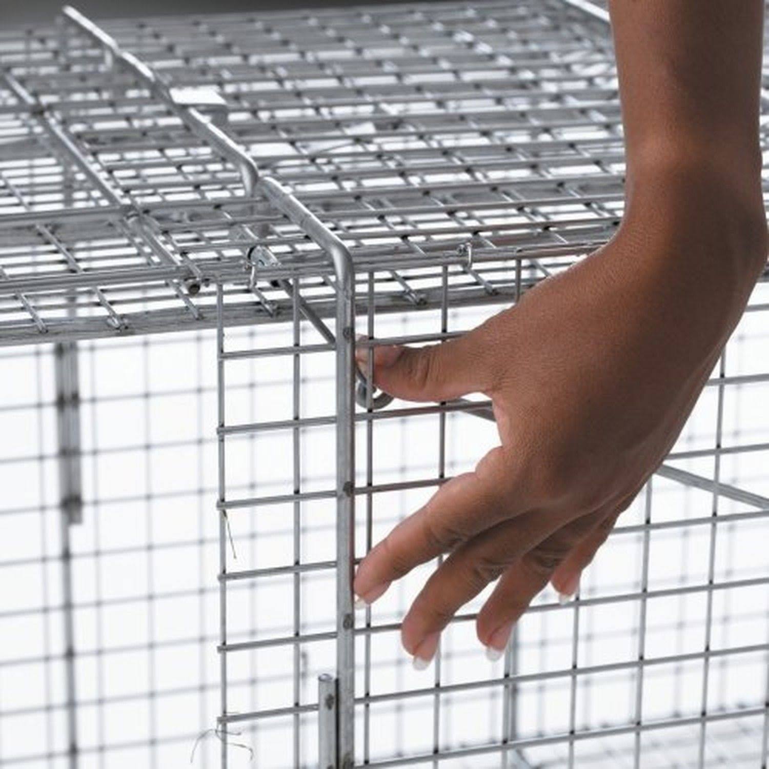 Havahart 1081 Live Animal Professional Style One-Door Large Raccoon, Small Dogs, and Fox Cage Trap
