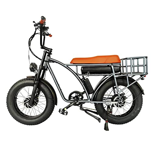 SMLRO Dual Motor 2000W Retro Two-Person Electric Bicycle, 7-Speed 20" Tire Electric Snow Mountain Shopping Ebike, 48V 18Ah E-Bike with Rear Turn Signal