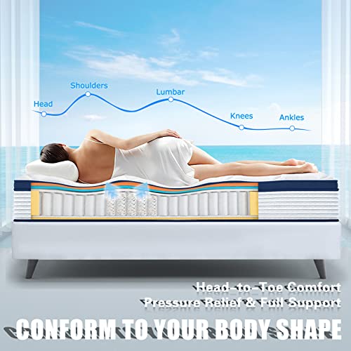 Deep Sleep 8 Inch Mattress Twin Size in a Box, Cloud Euro Top Soft Hybrid Mattress, Memory Foam Pocket Innerspring Mattresses, CertiPUR-US Certified