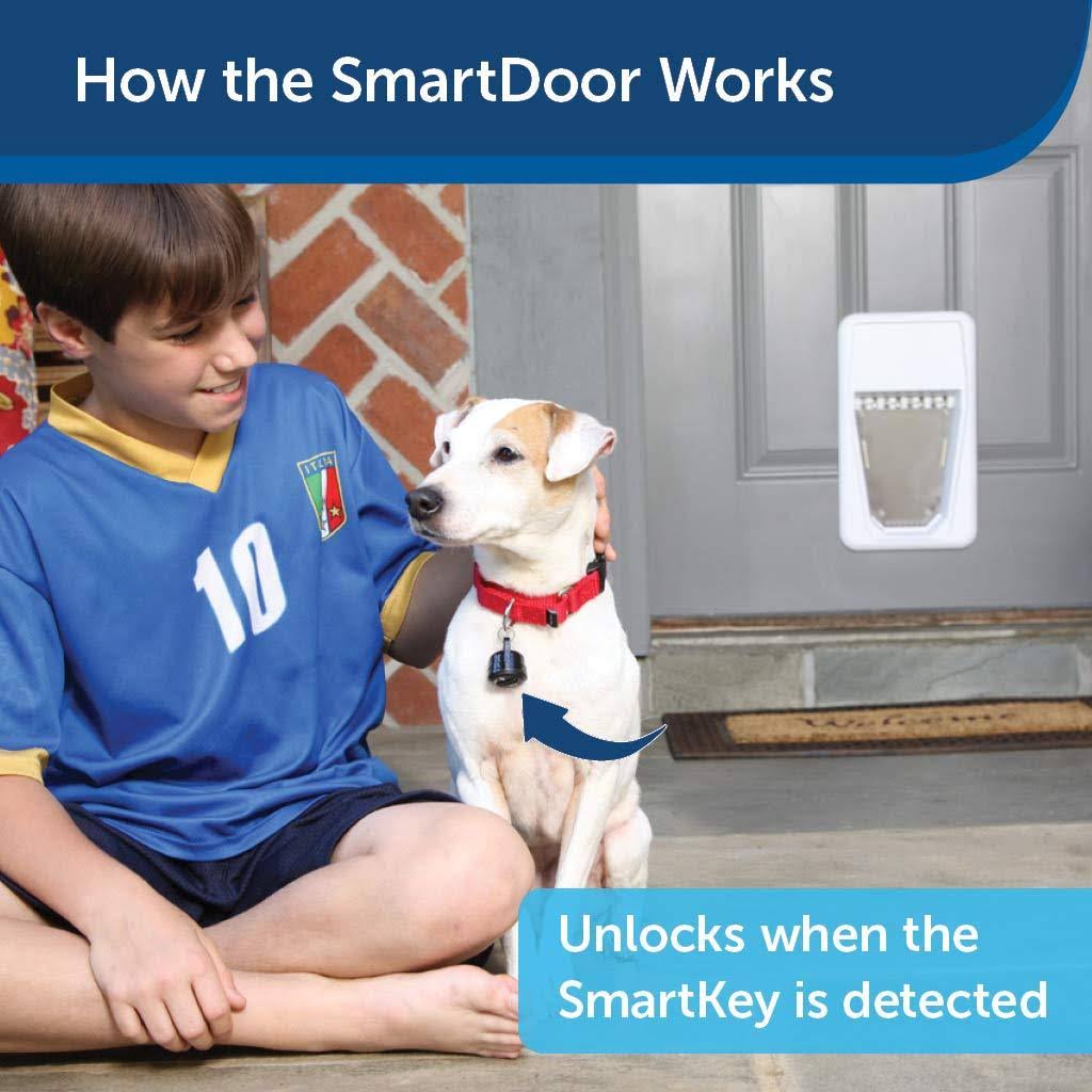 PetSafe Electronic SmartDoor, Automatic Dog and Cat DOOR, Large, Collar Activated with SmartKey