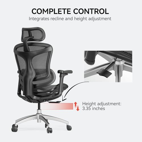 SIHOO Doro C300 Ergonomic Office Chair with Ultra Soft 3D Armrests, Dynamic Lumbar Support for Home Office Chair, Adjustable Backrest Desk Chair, Swivel Big and Tall Office Chair, Computer Chair Grey