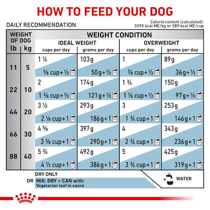 Royal Canin Veterinary Diet Canine Vegetarian Dry Dog Food - Pet Supplies online store