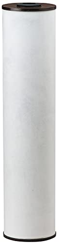 Pentair Pentek RFFE10-BB Big Blue Water Filter