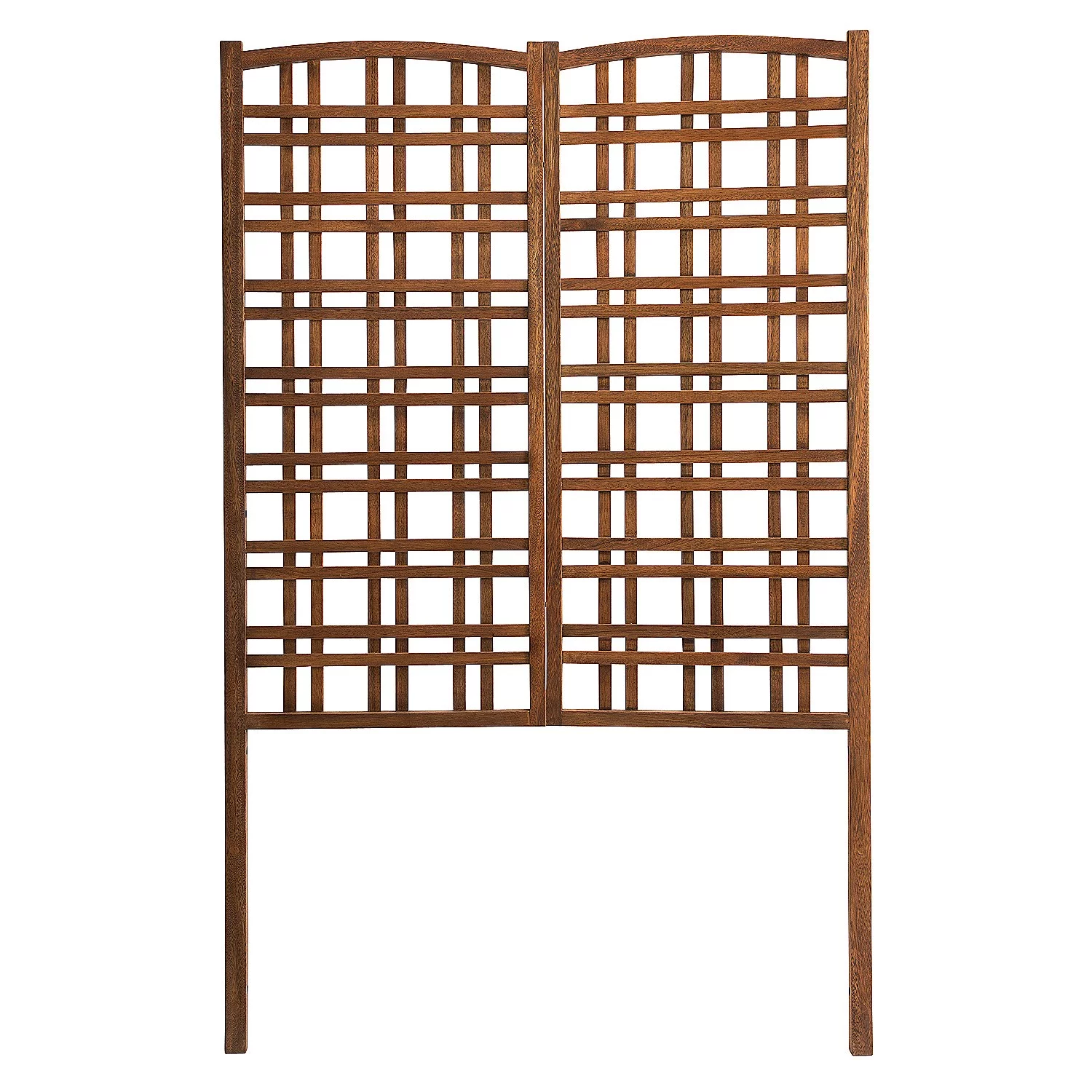 Evergreen Large Outdoor Eucalyptus Privacy Trellis