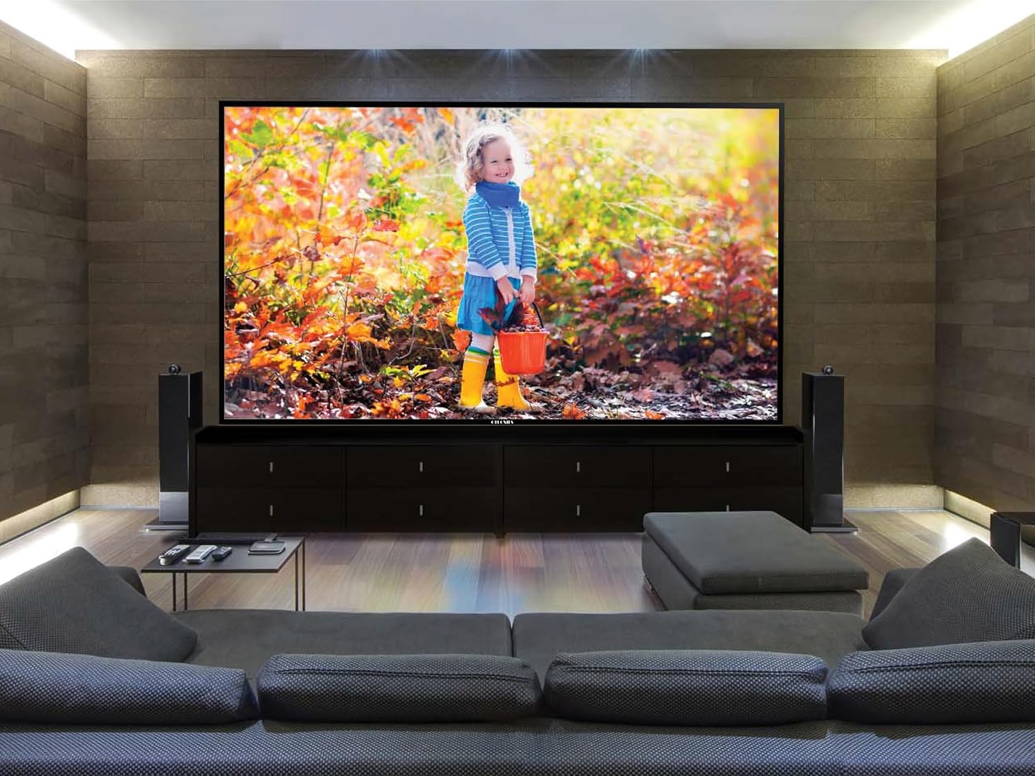 110 Inches Ultra HD Monitor, Ultra Large Screen TV 3840x2160 Pixel, Experience Various Kinds of Content with High-Performance Picture Quality
