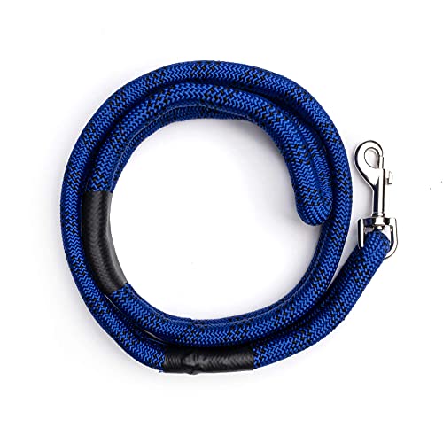ROVERLUND Airline-Compliant Pet Carrier | Includes Leash