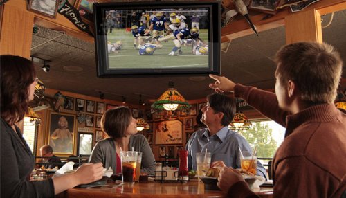 The Display Shield Outdoor TV Enclosure Cabinet, 36-43"