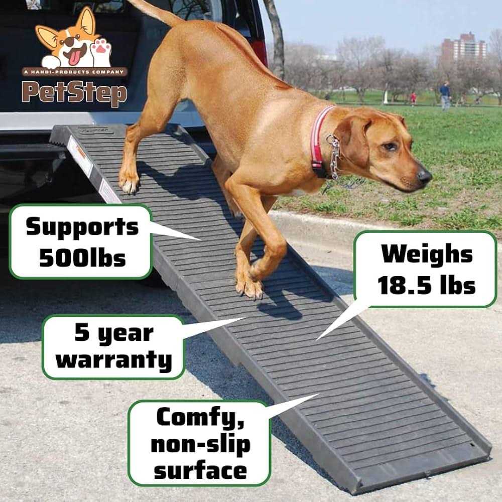 Petstep Pool Bundle - Pet Supplies online store
