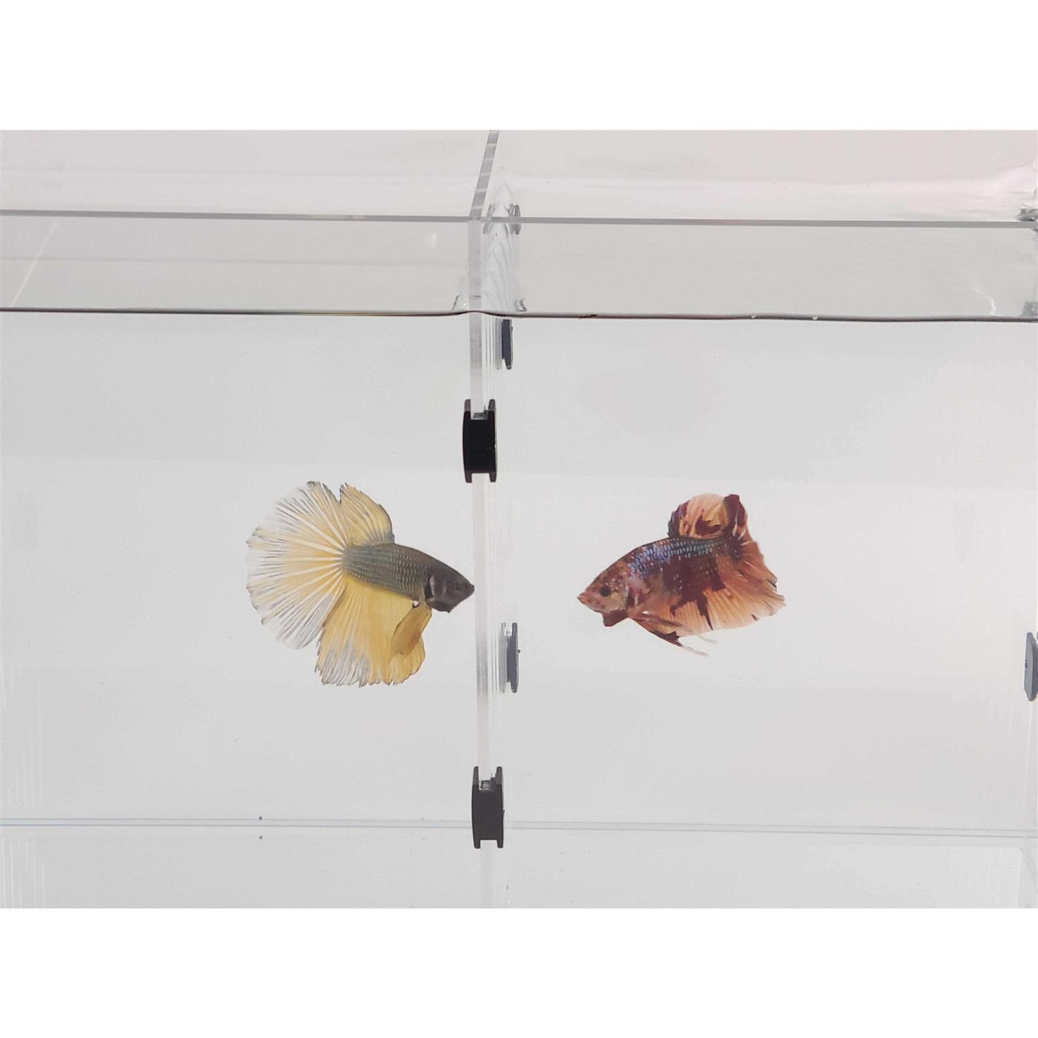 Lifegard Aquatics Long Ultra Crystal Clear Bookshelf Aquarium - Pet Supplies online store