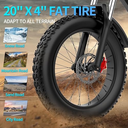 Electric Bike for Adults, 1000/2000W, 25/30/37MPH,48V-52V, 20AH,40AH Battery, Max 50-180 Miles Electric Motorcycle, 20" Fat Tire Dirt Bike, Shamano 7-Speed E-Bike