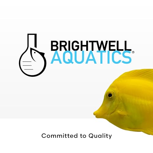 Brightwell Aquatics Magnesion Liquid Salt Water Conditioner - Concentrated Magnesium Supplement for Reef and Marine Aquariums, 33.8 fl oz