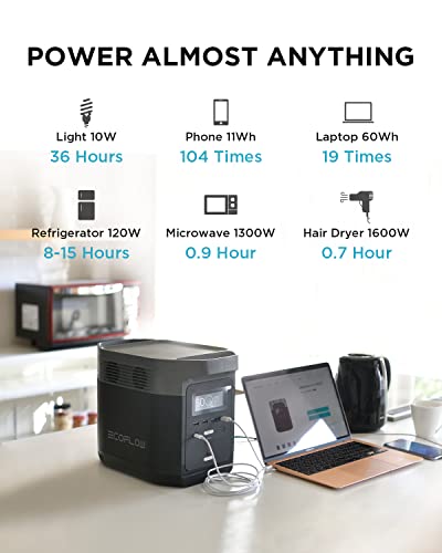 EF ECOFLOW Portable Power Station DELTA 1300 bundle