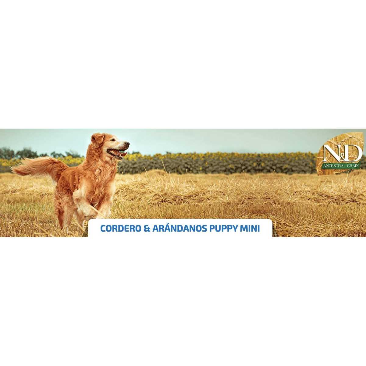 Farmina N&amp;D Ancestral Grain Lamb &amp; Blueberry Mini Adult Dry Dog Food - Pet Supplies online store