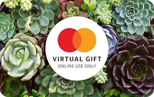 Mastercard Virtual $200 eGift Card (plus $6.95 purchase fee) – For Online Use Only