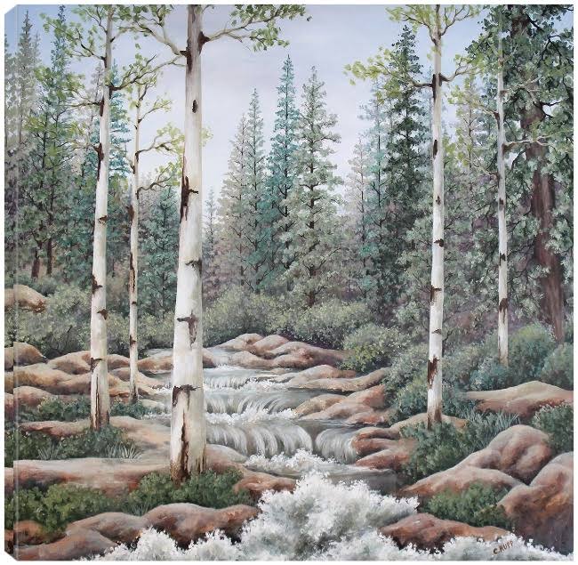 Summer Stream Canvas Art by Carol J Rupp 22X22 Fineartcanvas