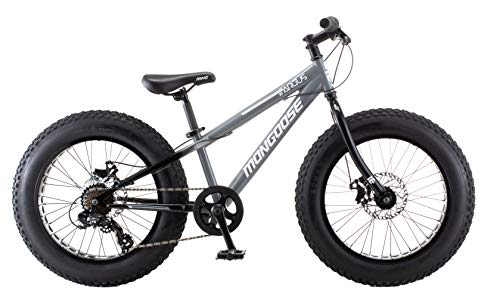 Mongoose Argus Trail or ST Fat Tire Mountain Bike, 20, 24 or 26 Inch Bike for Kids and Adults, 7 or 16 Speed, Aluminum or Steel Frame, Knobby Mountain Fat Tires, Mechanical Disc Brakes