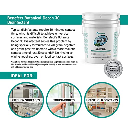 Benefect Decon 30 All-Natural Spray Disinfectant and Multipurpose Cleaner, Pump Spray Bottle, 4 ounce
