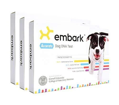 Embark | Dog DNA Test | Breed Identification | 160 Health Results | 200K Genetic Markers | Pack of 3