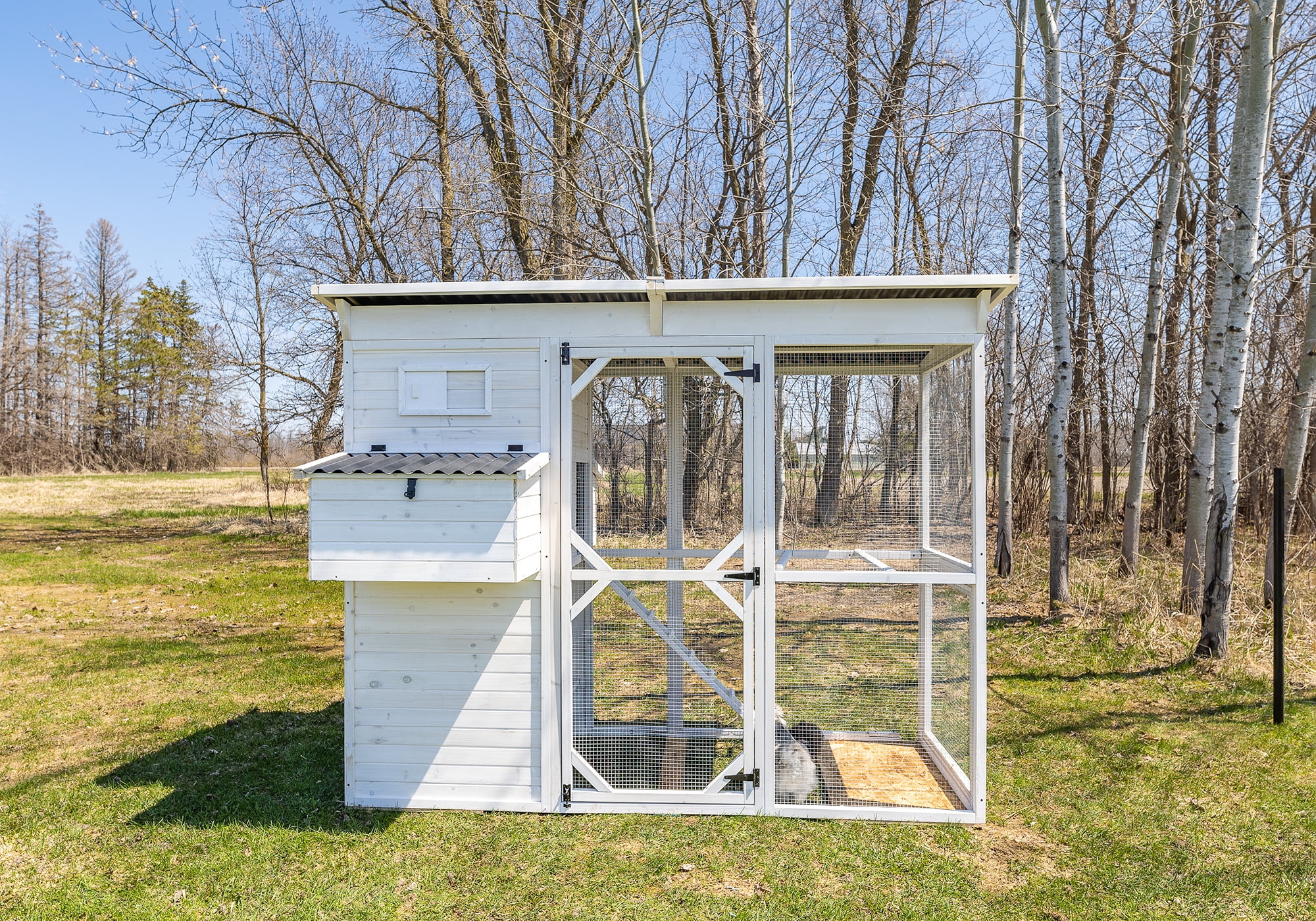 Zylina Modern Walk-In Hen House - Chicken Coop