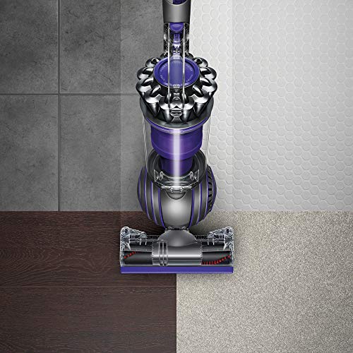 Dyson Ball Animal 2 Upright Vacuum (Certified Refurbished)