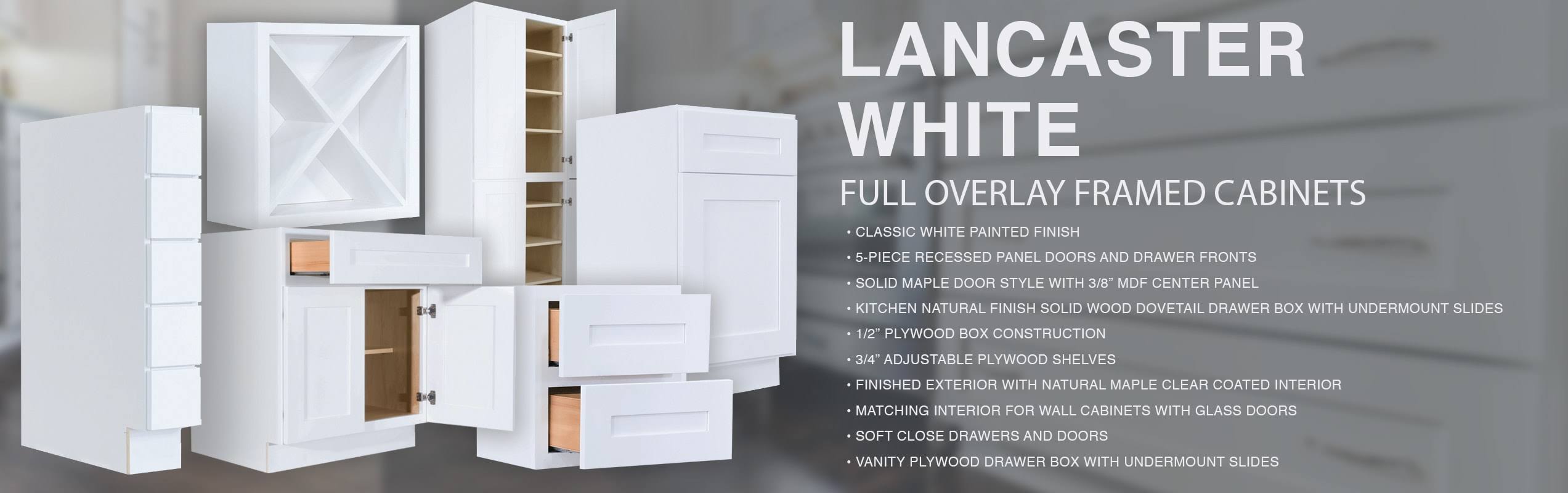 Lifeart Cabinetry 24-in W x 15-in H x 12-in D White Painted Maple Door Wall Fully Assembled Stock Cabinet | ALW-WMD2415