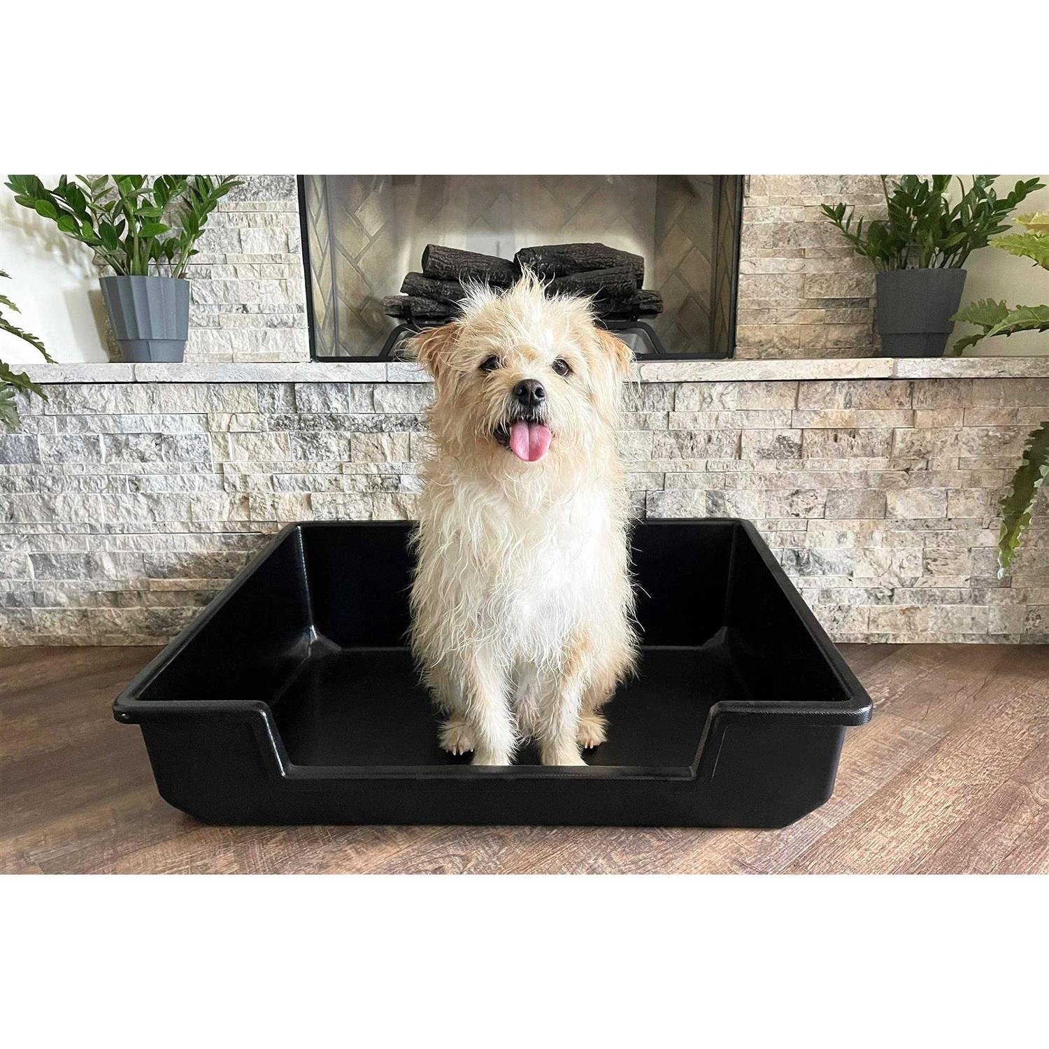 Piggy Poo and Crew Extra Large Litter Box - Pet Supplies online store