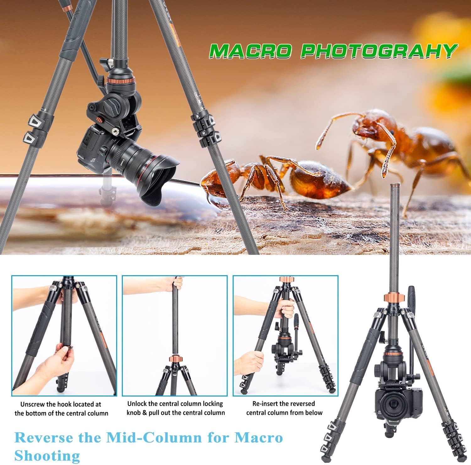 Cayer CF2451 Video Tripod 67 inches Carbon Fiber Tripod Leg with Fluid Drag Head, 4-Section Compact DSLR Tripod Convertible to Monopod for DSLR Camera, Video Camcorder