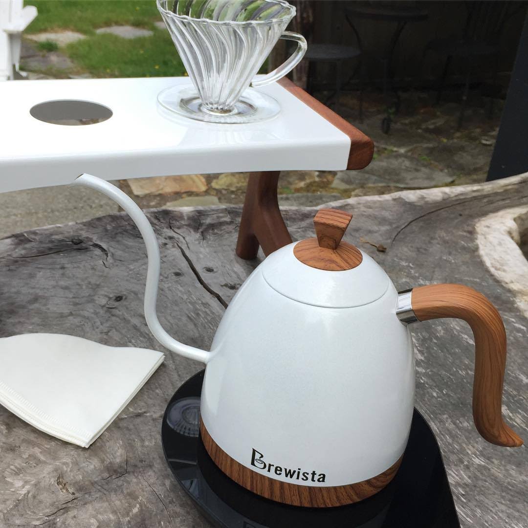 Brewista BA6VKETLPW Artisan Gooseneck Variable Kettle, 600ml, Pearl White